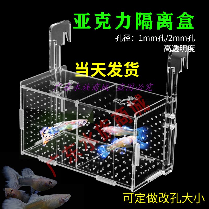 Acrylic isolation box (new) crystal shrimp breeding box ornamental fish ornamental shrimp fish tank breeding box
