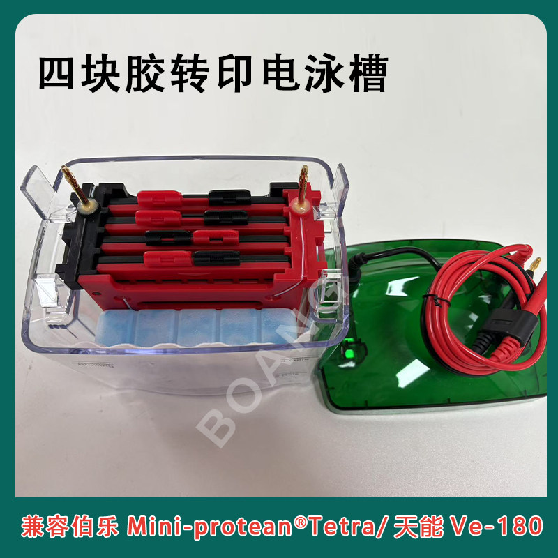 DYC-ZY4小型4块胶蛋白转印槽湿转转膜槽配件通用bio-rad伯乐