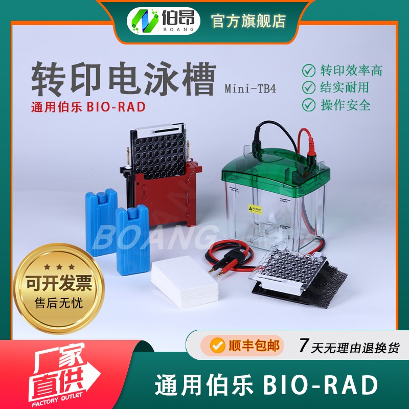 通用伯乐WB小型转印电泳槽套装Mini Trans-Blot湿转蛋白转印槽