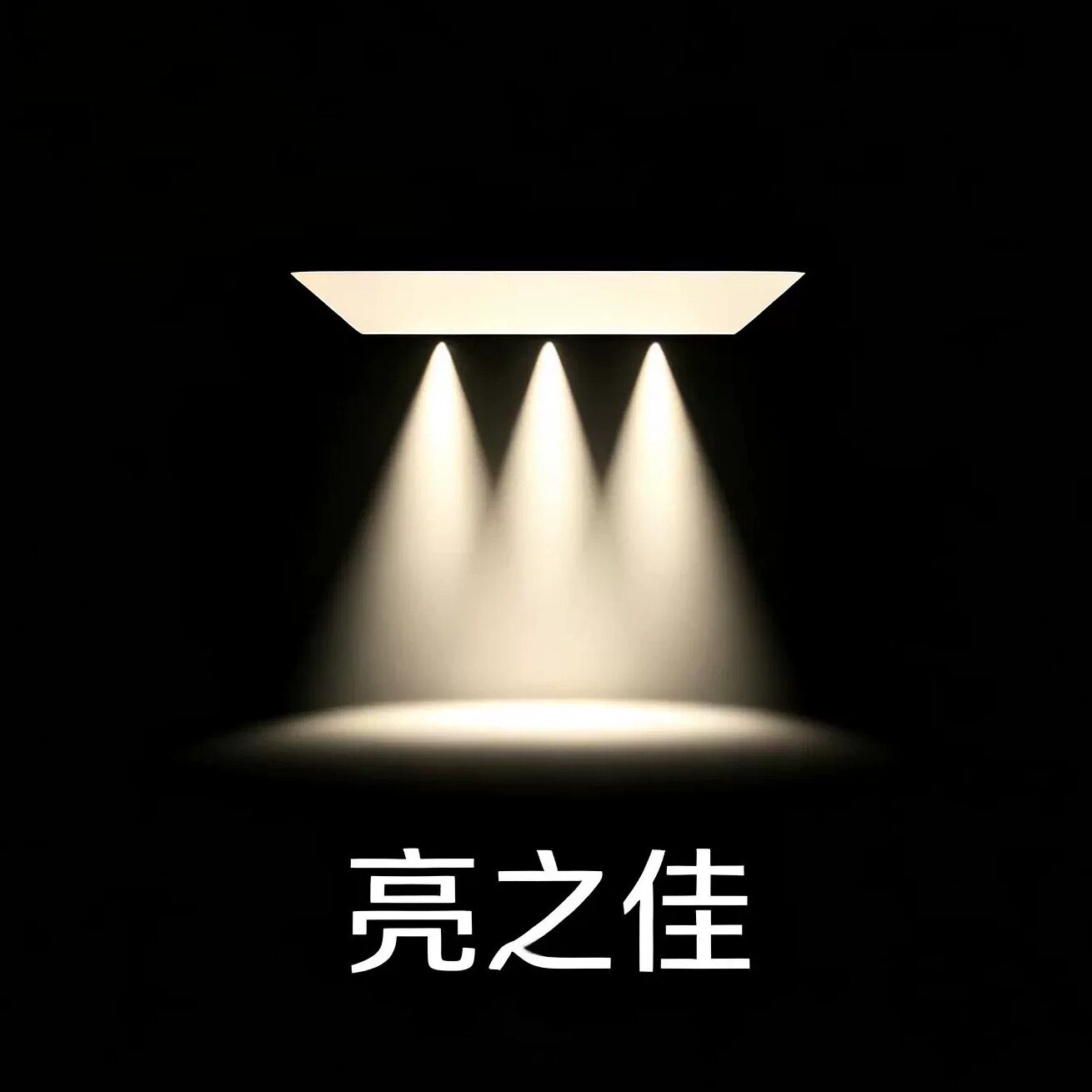 亮之佳照明