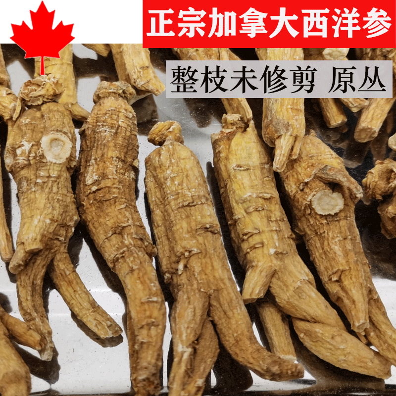 Not pruned Canadian imported American ginseng whole branch original bundle Citi Ginseng 100g loaded 250g 250g imported Citi Ginseng