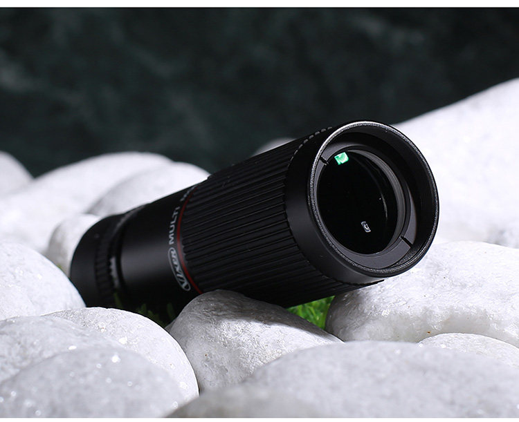 Vixen Single C 14.jpg