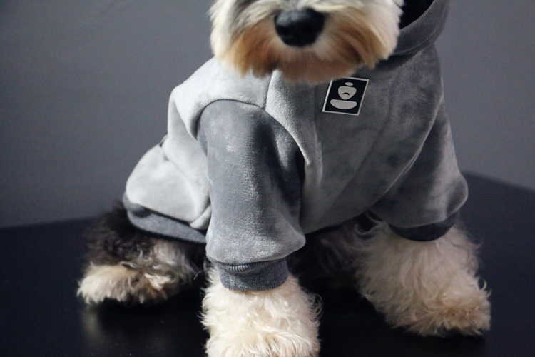 Quần áo thú cưng thời trang đường phố thời trang chó quần áo nhung hoodie schnauzer Quần áo Teddy - Quần áo & phụ kiện thú cưng quần áo cho chó phốc sóc