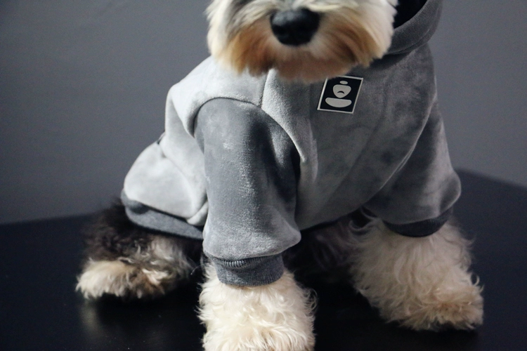 Quần áo thú cưng thời trang đường phố thời trang chó quần áo nhung hoodie schnauzer Quần áo Teddy - Quần áo & phụ kiện thú cưng