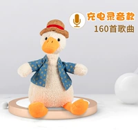 Обновите модель зарядки записи, чтобы повторно прочитать Duck & 160 Songs (отправить сумочки)