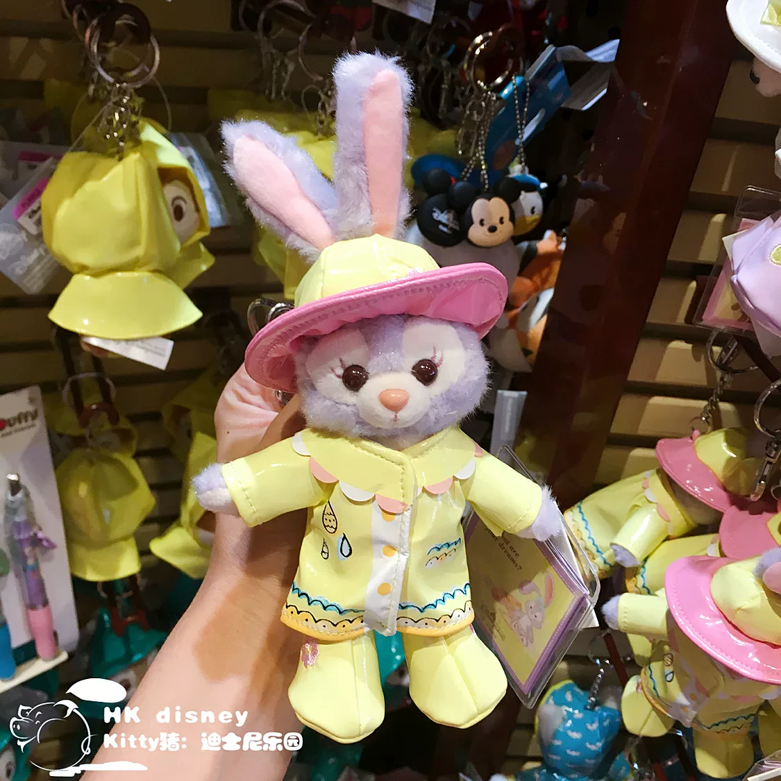 Disney, plush raincoat, doll, pendant, Hong Kong
