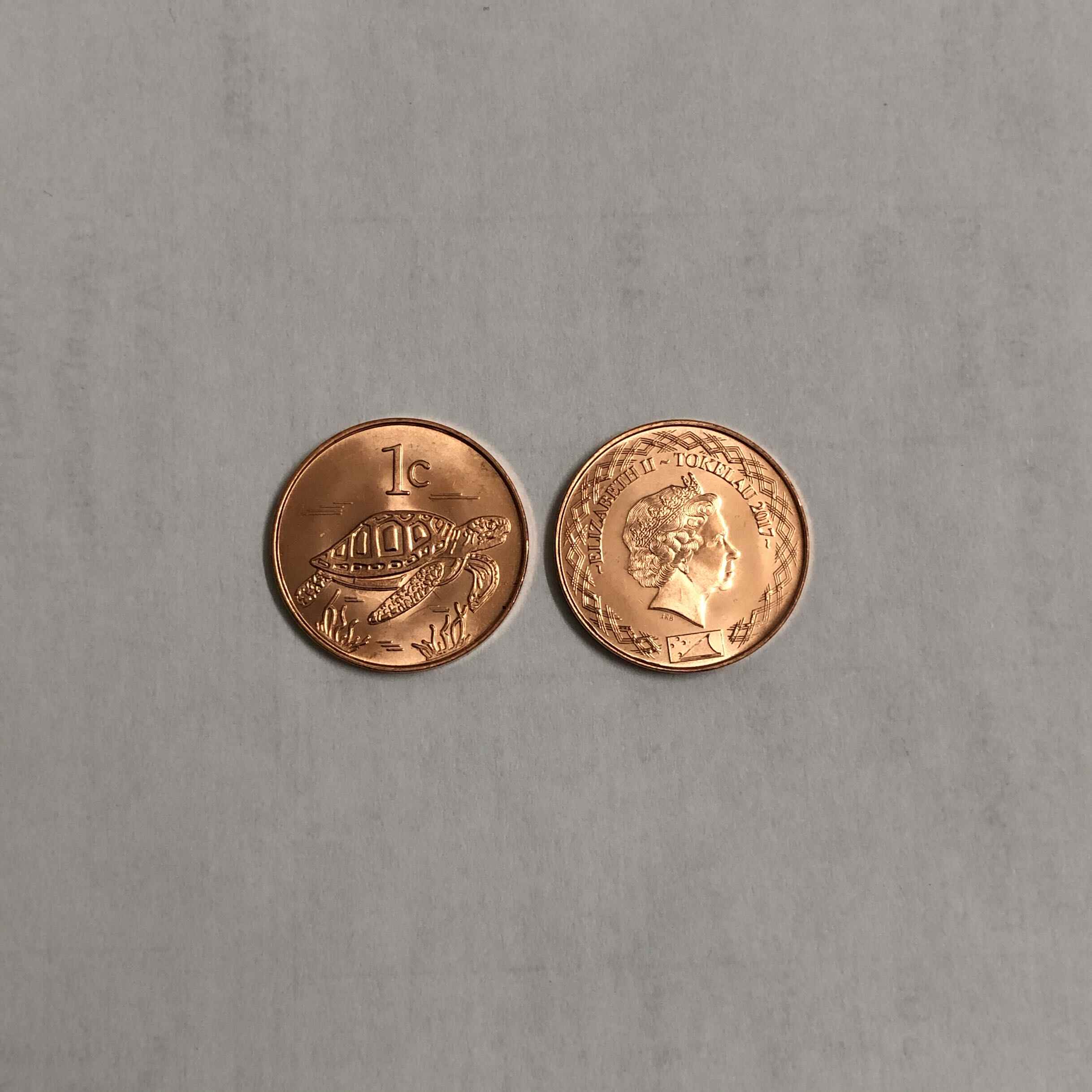 硬币龟- Top 100件硬币龟- 2025年12月更新- Taobao