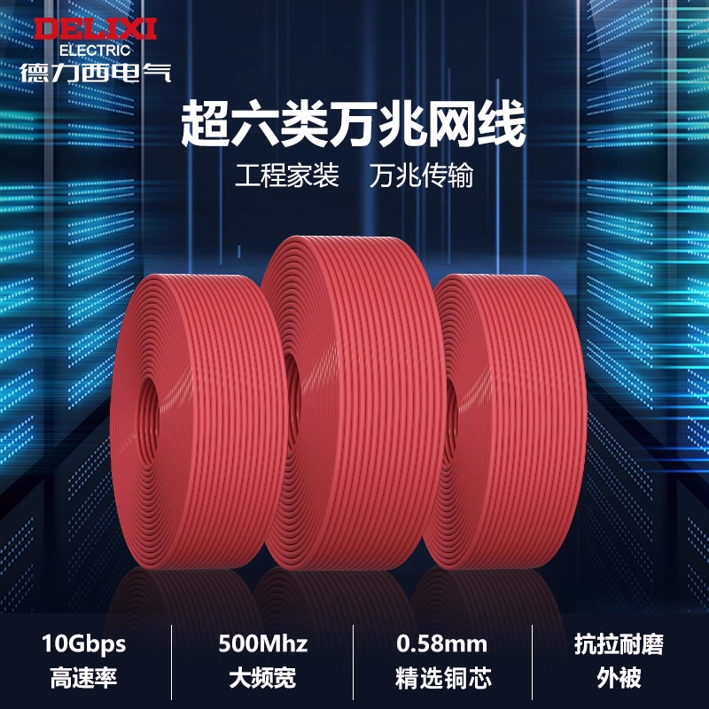 Delixi Category 6A 10 Gigabit Ethernet Cable for Monitoring, Broadband Projects, Home Use, Oxygen-Free Copper, Computer Connection, Category 6 High-Speed Cable