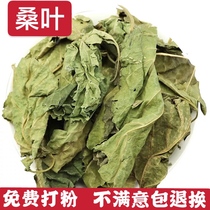 Chinese herbal medicine dry mulberry leaf tea Frost mulberry leaf winter mulberry leaf free mulberry leaf powder 500g