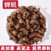  Chinese herbal medicine cicada skin cicada shell worm cicada coat molting insects and crawling monkey shell golden cicada coat 500g