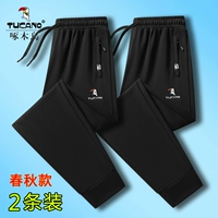 Большой букет+черные балки [2 пружины и осенние домашние животные]