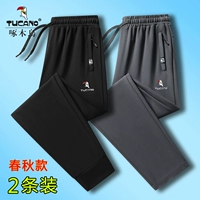 Black Beast+серая прямая трубка [2 пружина и осенние домашние животные]