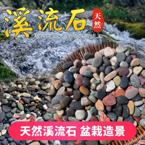 5 catty of natural cobblestone native stream stone fish tank bottom sand turtle aquarium stone built with small pebble stones