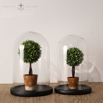 Modern simple dustproof simulation plant transparent glass cover ornaments micro landscape living room coffee table porch decorations