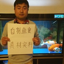 Homemade fish food fish food sinking type koi small goldfish tropical fish to enhance color Lanshou Thai lion feed fry native fish