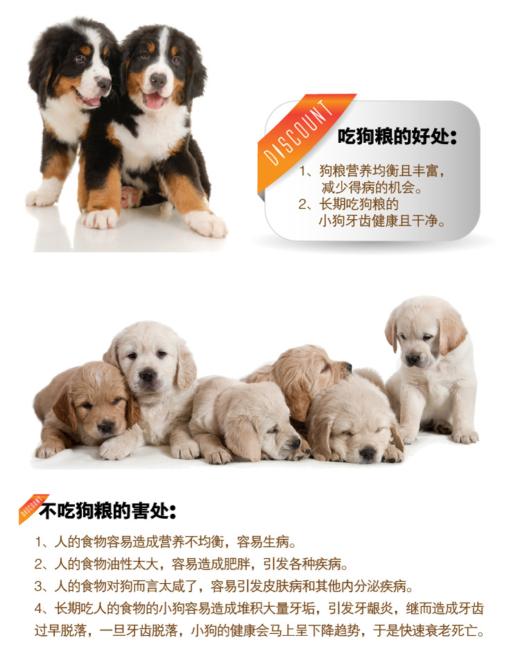 Mới nâng cấp vào thức ăn cho chó 500 gram thức ăn cho chó Jin Mao Teddy thức ăn cho chó số lượng lớn thức ăn vật nuôi 5 túi Giang Tô Chiết Giang và Thượng Hải hạt anf cho mèo