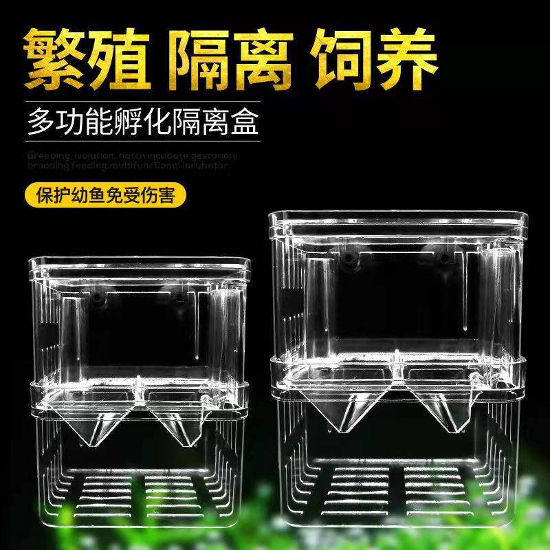Fish tank hatchbox Isolation box Peacock fish case Small and medium fish Large size Small size ovirover independent breeding box hatching-Taobao