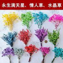 Immortal star lover grass Crystal grass flower art handmade diy material Garland drip wax brand photo frame matching material