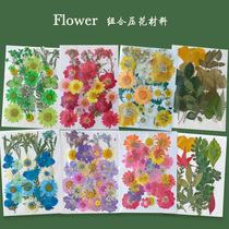 (Embossed material bag) dried flower flower bookmarks drop glue frame painting Group fan kindergarten DIY handmade material