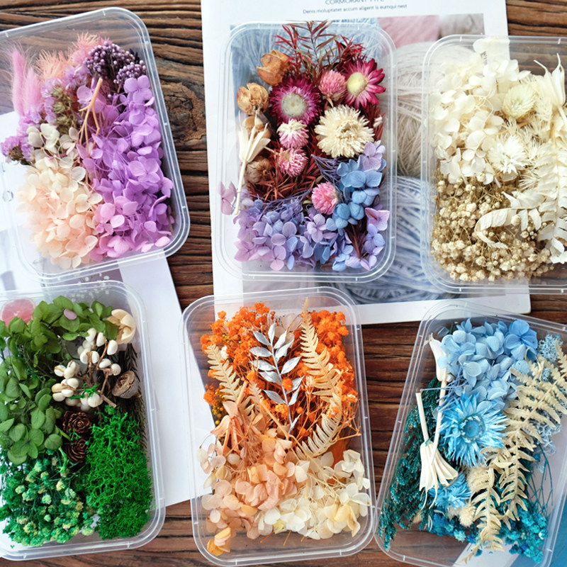 (DIY flower material case) Yongsheng dried flowers handmade work leaves true flower dripping gum plant wax plate retro decorative painting-Taobao