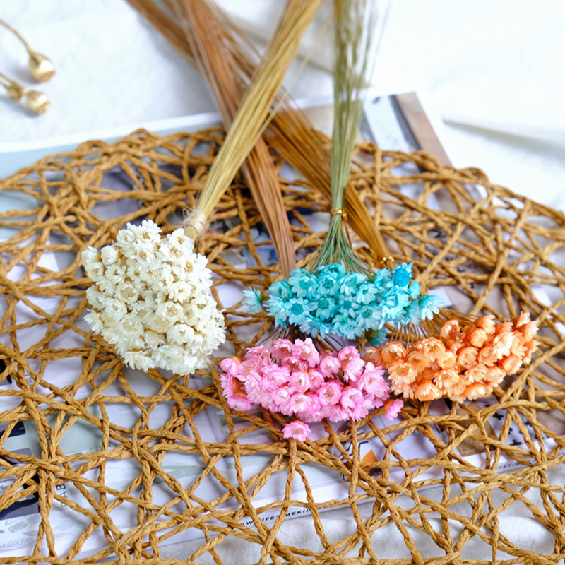 (Little star flower)Imported Brazilian shooting props eternal life mini daisy flower arrangement diy handmade wax brand flower material