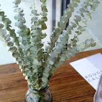 (Air-dried eucalyptus leaves)Natural eternal true green tree leaves branches Millet fruit Nordic style flower arrangement DIY flower material