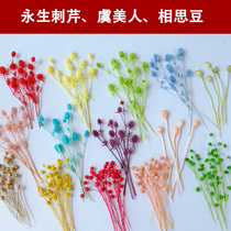 Embellishment material forever flower glass cover group fan picture frame painting handmade DIY gift box material