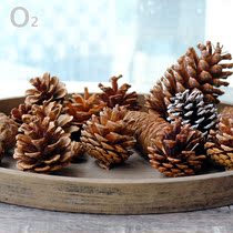 (Pine cones) natural dried fruit pine tree plant fruit specimen diy manual work childrens photo props ACORN