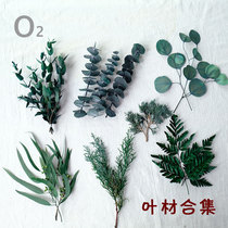 (Leaf Material Collection) Yinsheng Eigali Leaf Chrysanthemum Kindergarten DIY handmade photo frame Group fan hand-made material