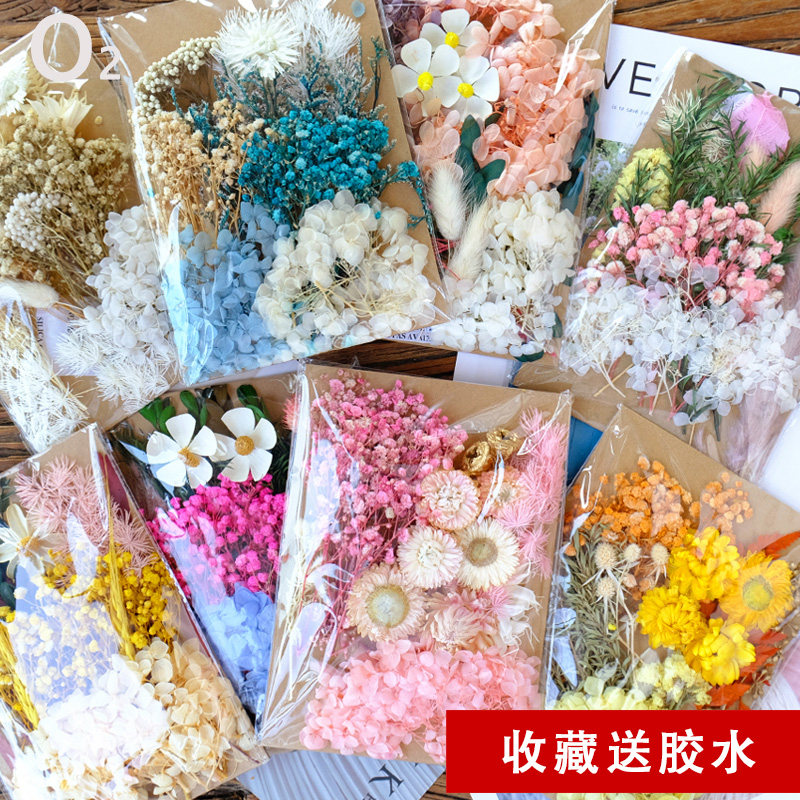 Floral material bag Yongsheng Dried Flowers Photo Frame Painting Group Fan greeting cards handmade drying flowers small bouquet natural real flower dripping glue