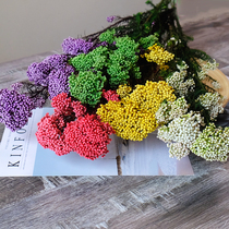 (Eternal rice flower)Imported dried flower accessories Dried branches dried fruits Home club coffee shop decoration shooting props