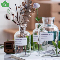 (ins glass vase)Nordic Brown dried flower vase English alphabet decoration Brown wide mouth transparent vase