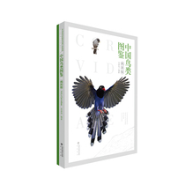 Illustrated Book of Chinese Birds (Corvidae Edition) Strait Book Company Wu Jiawei Common Beginner's Daily Bird Watching