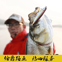 DNE to Luya new five-step snake Luya bait water surface pencil super far into the sea perch the mouth of the fish fake bait