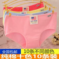 10 đồ lót nữ chất liệu vải cotton cotton mid-up kích thước lớn quần short eo thấp sịp nam cỡ lớn