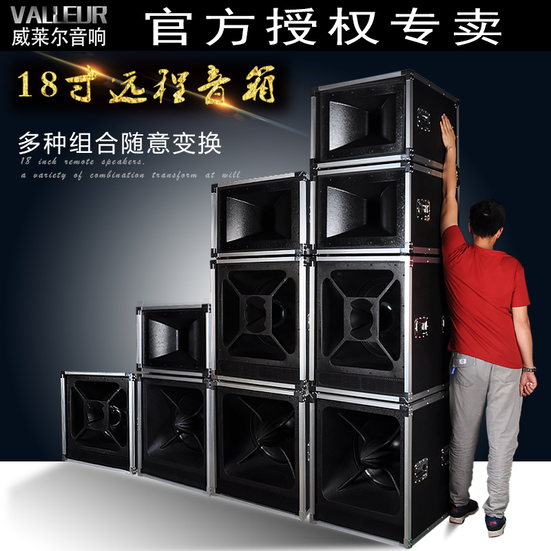 Willer Large Double 18 Inch Remote Speaker Professional Outdoor Wedding Stage Performance Acoustics Suit High Power