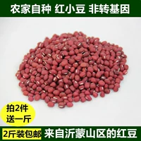 Фермерские самостоятельные изготовления Hongxiao Dou Shandong Yimeng Mountains