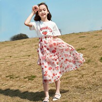 Middle Boy Suit Skirt Summer Girl half body dress short sleeve T-shirt with dress and summer clothes big child little girl cake dress