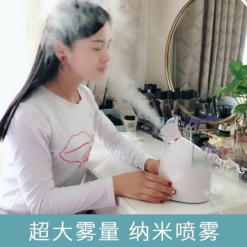 Hot Spray Steamer Nanospray Machine Home Moisturizer Open Pore Steam Machine Cosmetic Instrument Steamer