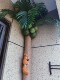 Decorative Cover for Sewer and Fire Pipes, Balcony Makeover, Artificial Greenery, Coconut Tree Leaves to Hide Unsightly Pipes