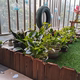 Curved shape fence indoor garden vegetable garden anti-corrosion wooden fence guard fence fence flower bed wall indoor and outdoor