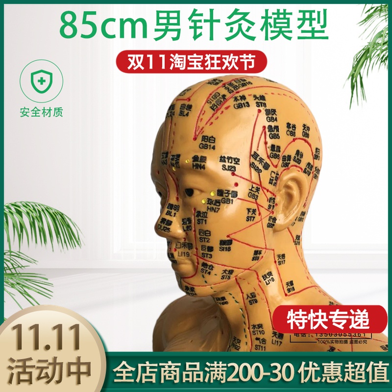 Super clear meridian bronze man 85cm body model human body meridian model bronze acupuncture point model