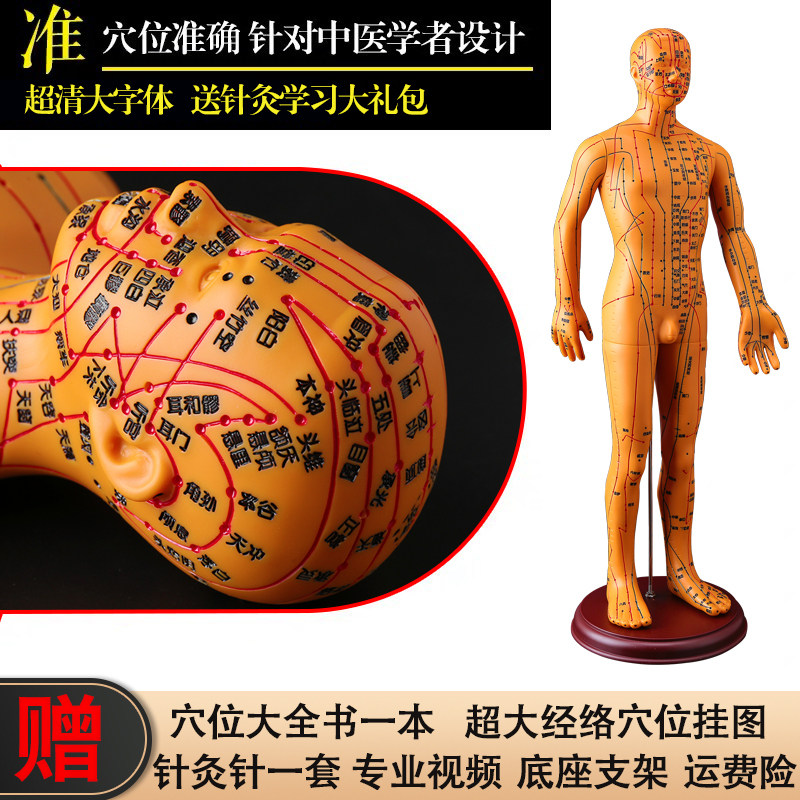 超清晰刻字铜人针灸穴位人体模型中医人体穴位模型女经络通小人男