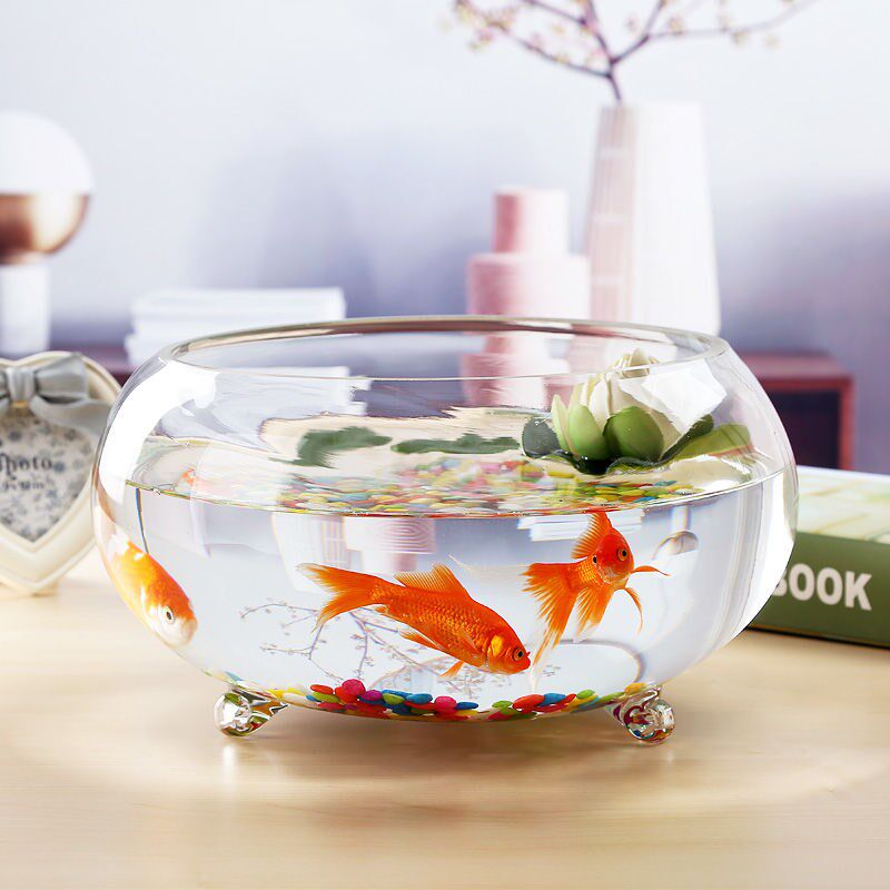 Thickened Creative Transparent Glass With Feet Round Gold Fish Tank Living Room Small Fish Tank Home Desktop Hydroponic Turtle Cylinder