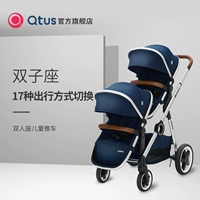 Quintus/Qtus wondus Twins Twin