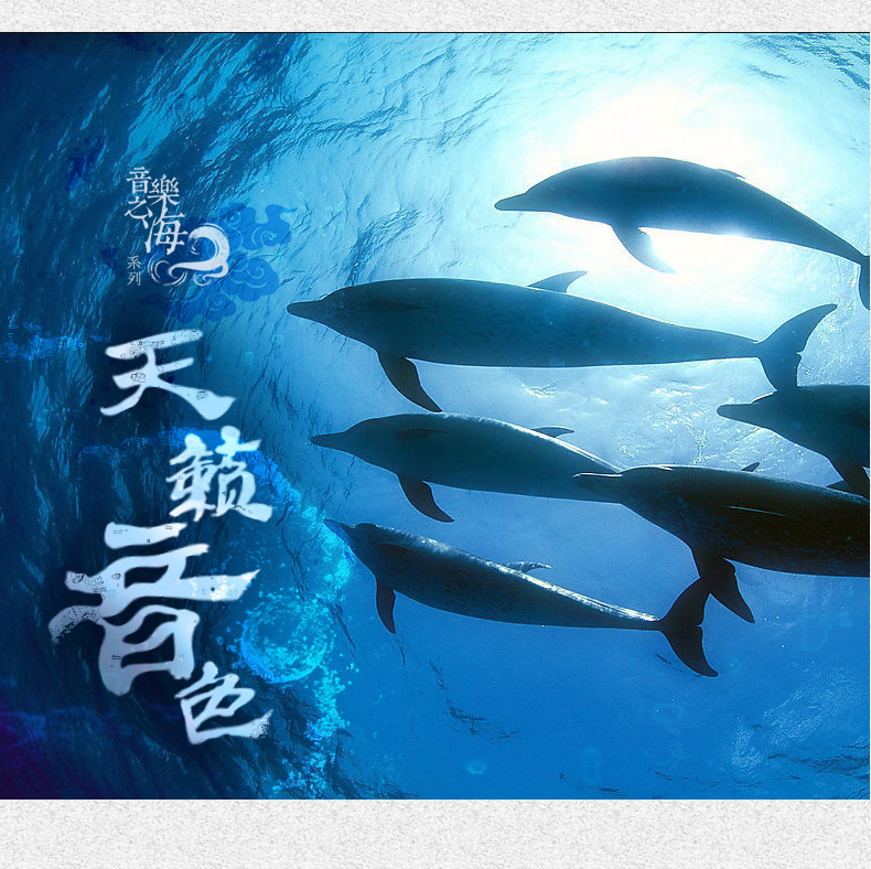 Xinghai Jing Erhu String Bắc Kinh Xinghai Nhạc cụ quốc gia Phụ kiện Jing Erhu String Xinghai Jing Erhu String - Phụ kiện nhạc cụ bộ dây đàn guitar classic
