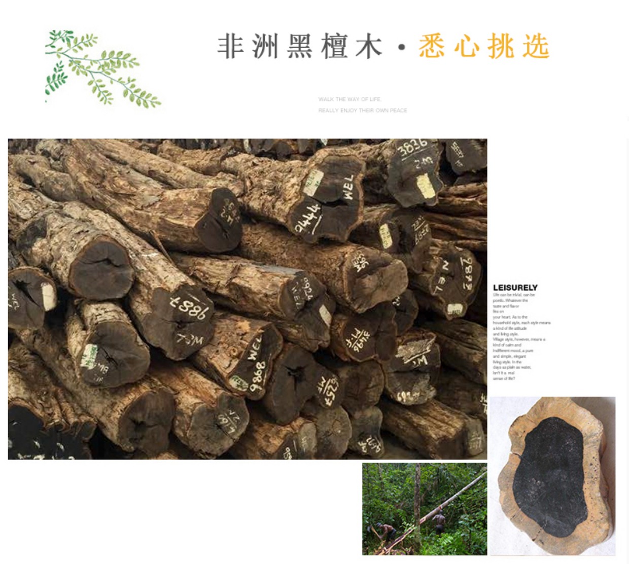 Ebony phẳng bát giác hai mùa xuân đàn nhị nhạc cụ quốc gia Tô Châu học chơi đàn nhị để gửi một bộ phụ kiện đầy đủ - Nhạc cụ dân tộc dan ty ba