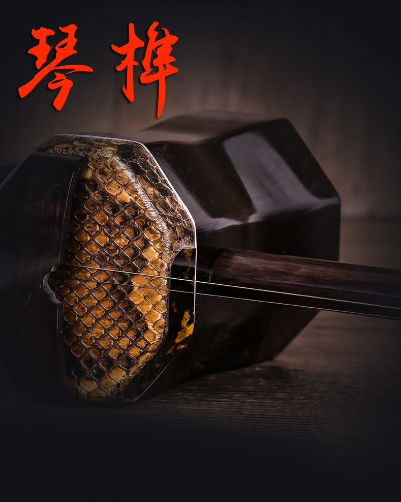 Xinghai mun 8746 Gao Hudongfei màu đen gỗ hồng vàng mận kịch nhạc cụ đệm nhạc cụ Gaohu hình bát giác để gửi phụ kiện - Nhạc cụ dân tộc mua sáo