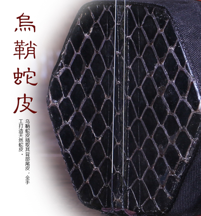 Ebony Bắc Kinh erhu Tô Châu Jing Erhu nhạc cụ đệm nhạc chuyên nghiệp mun xipi hai màu vàng gửi phụ kiện - Nhạc cụ dân tộc sáo dọc