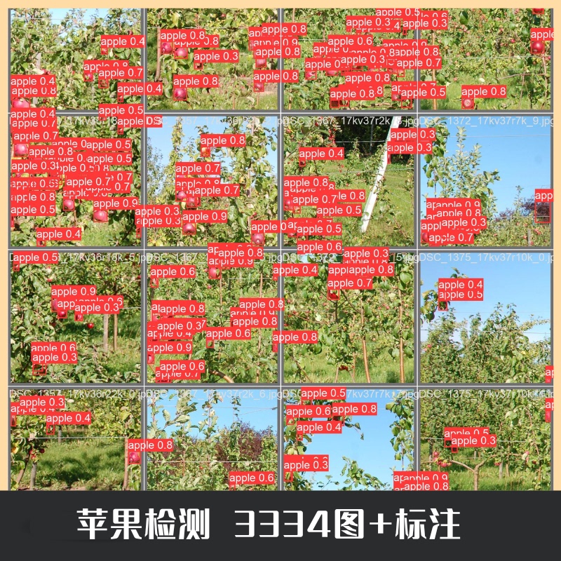 Apple Object Detection Data Set Yolo Apple Detection Onnx Apple Recognition Data Set Apple Object Detection Data Set Yolo Apple Detection Onnx Apple Recognition Data Set